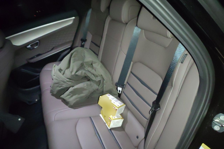 BYD Han 2023 immagine di auto #10