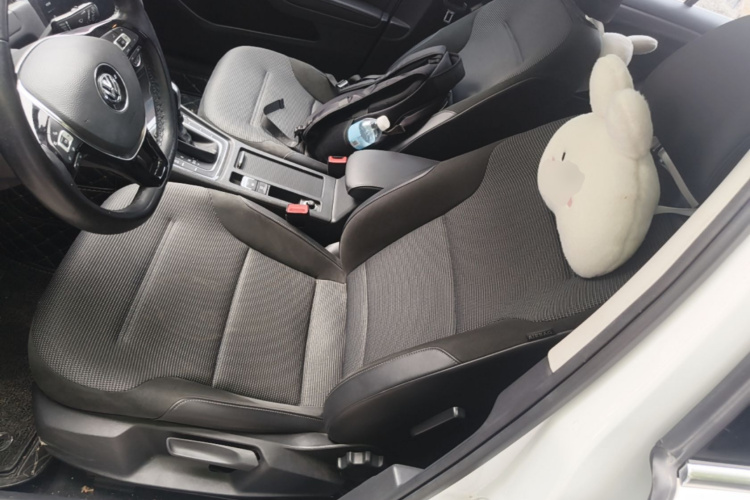 Volkswagen Golf 2020 car image #15