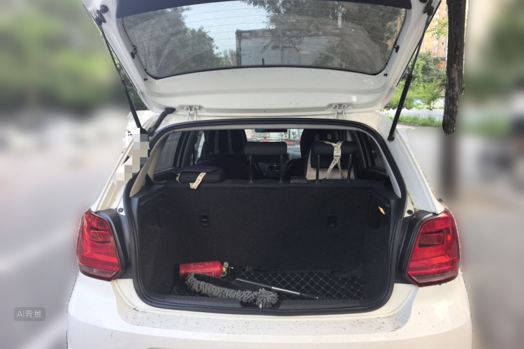 Volkswagen Polo 2016 car image #21