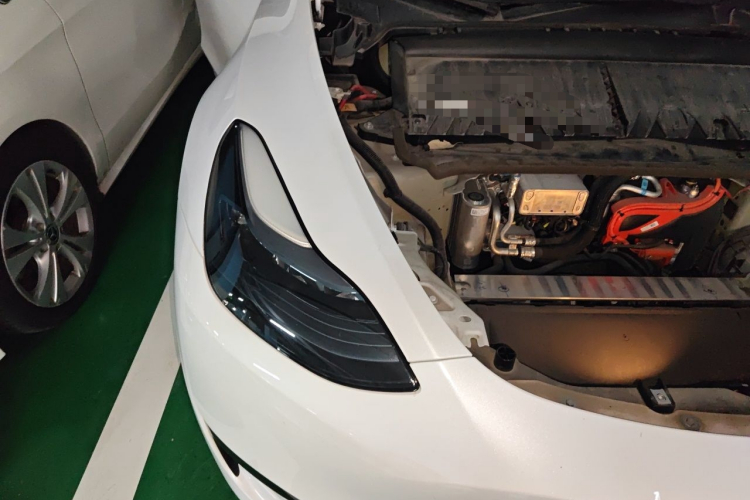 Tesla Model Y 2024 #28 Tesla Model Y 2024 car image #28