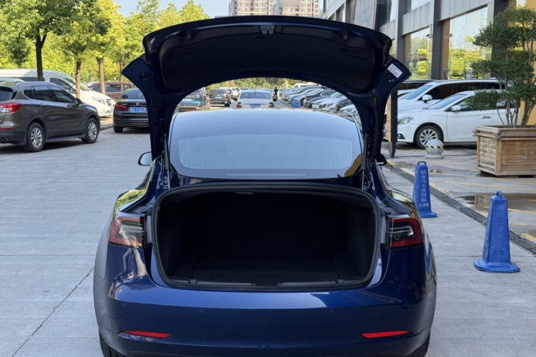 Tesla Model 3 2020 #23 Tesla Model 3 2020 car image #23