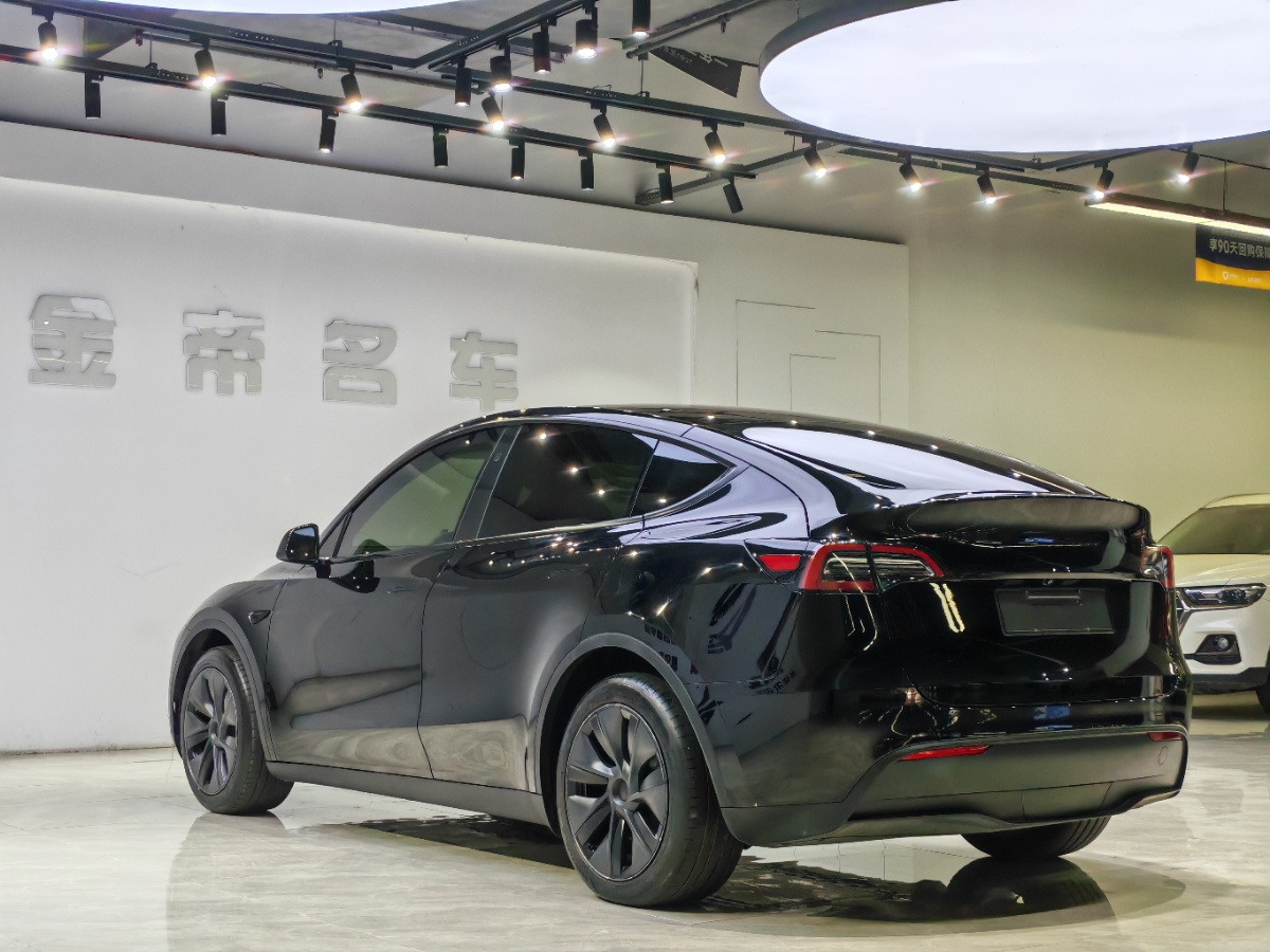 Tesla Model Y 2024 car image #9