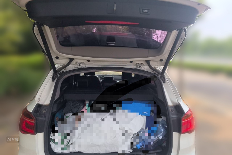 BMW X1 2017 car image #21