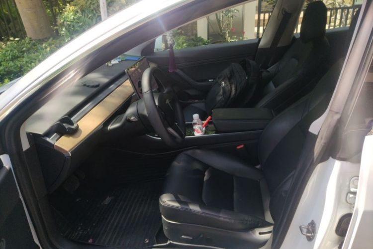 Tesla Model 3 2020 car image #9
