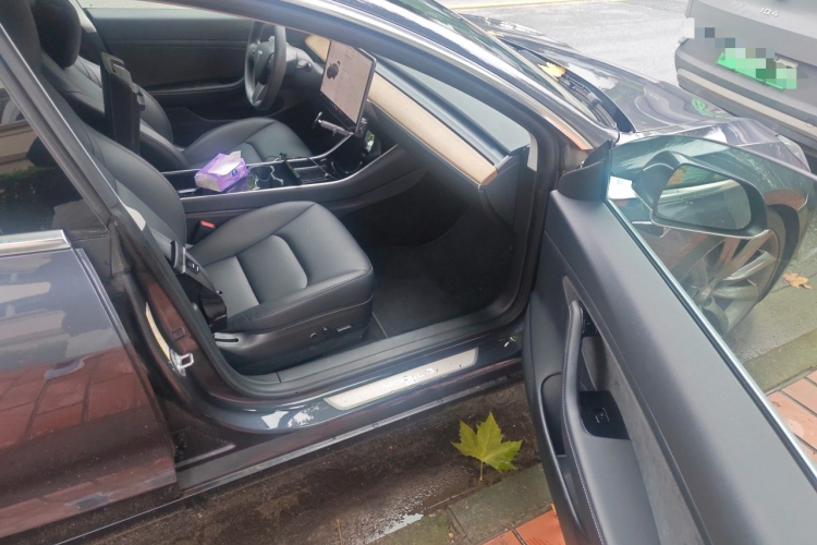 Tesla Model 3 2020 car image #21