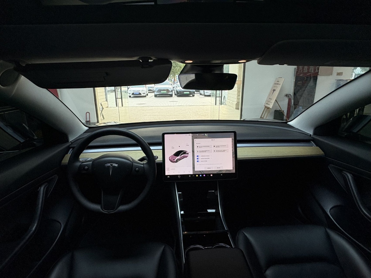 Tesla Model 3 2020 car image #6