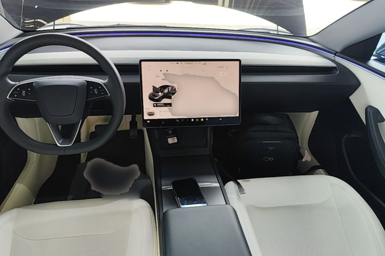 Tesla Model 3 2024 car image #10