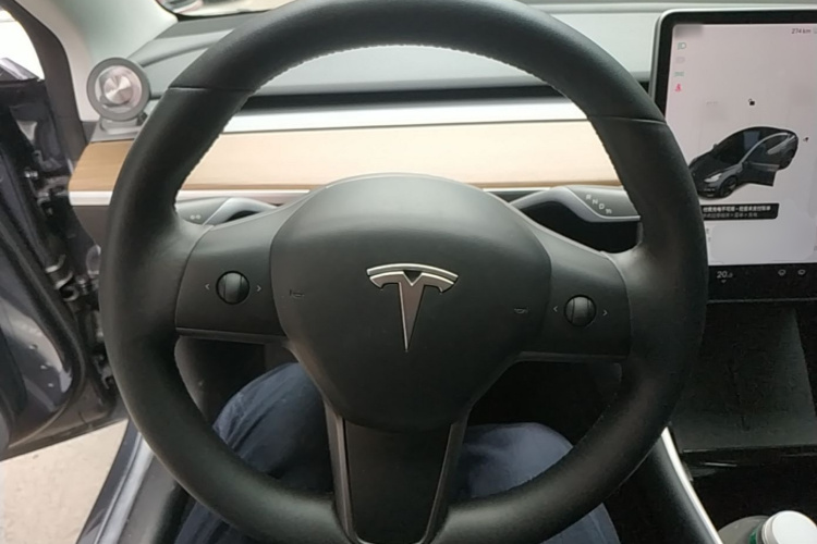 Tesla Model 3 2020 #15 Tesla Model 3 2020 car image #15