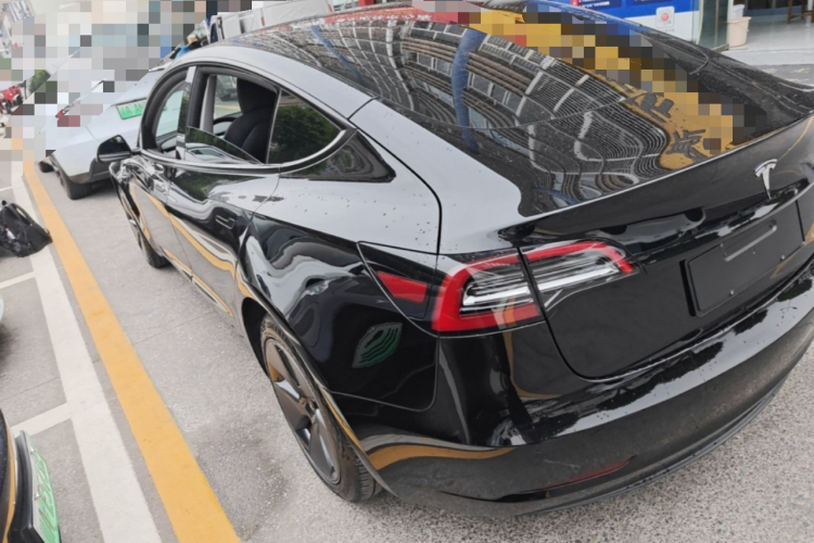 Tesla Model 3 2022 #5 Tesla Model 3 2022 car image #5