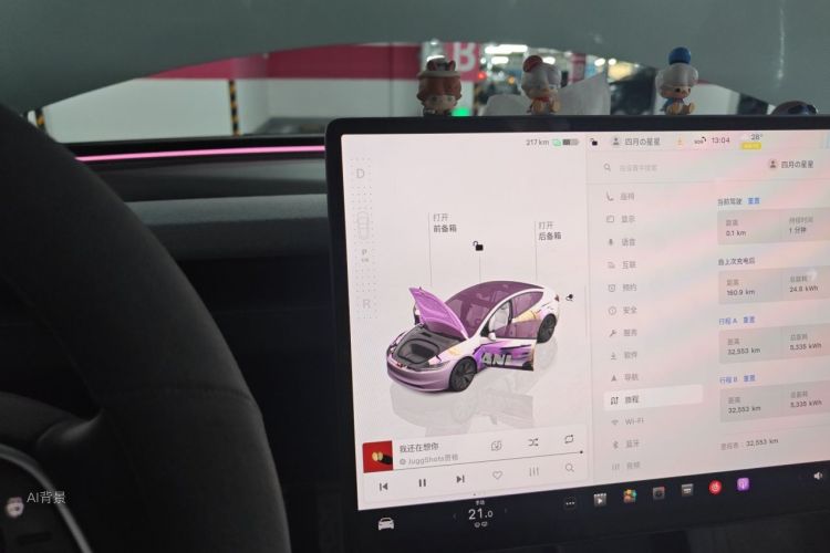 Tesla Model 3 2024 car image #16