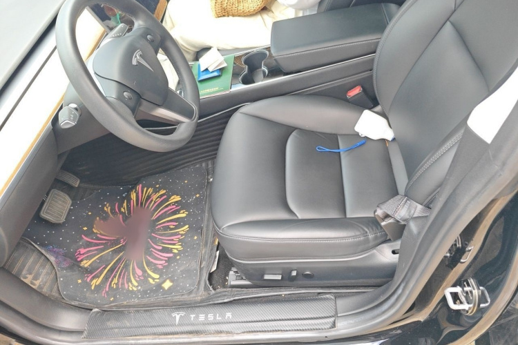 Tesla Model 3 2020 car image #19
