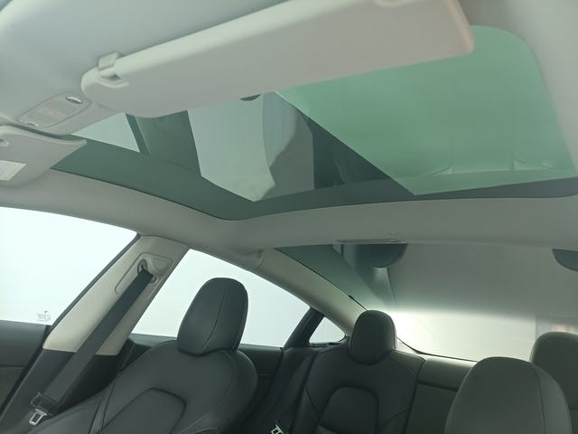 Tesla Model 3 2021 car image #11