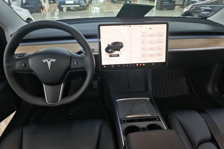 Tesla Model 3 2022 #10 Tesla Model 3 2022 immagine di auto #10