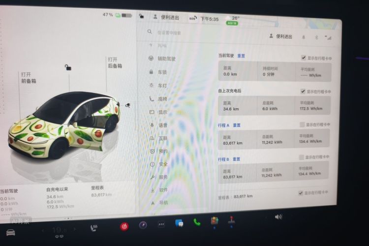 Tesla Model Y 2025 car image #13