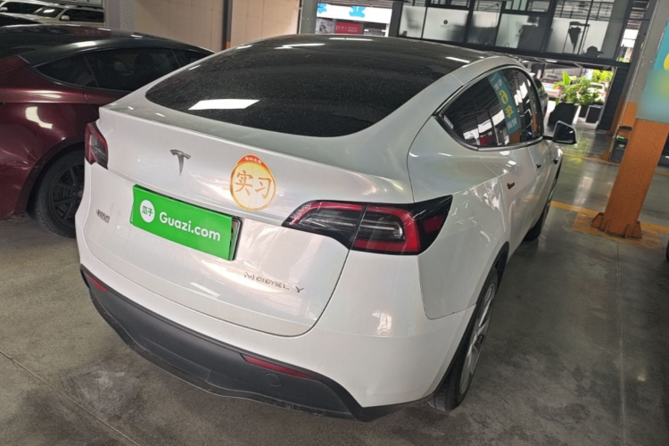Tesla Model Y 2022 immagine di auto #7
