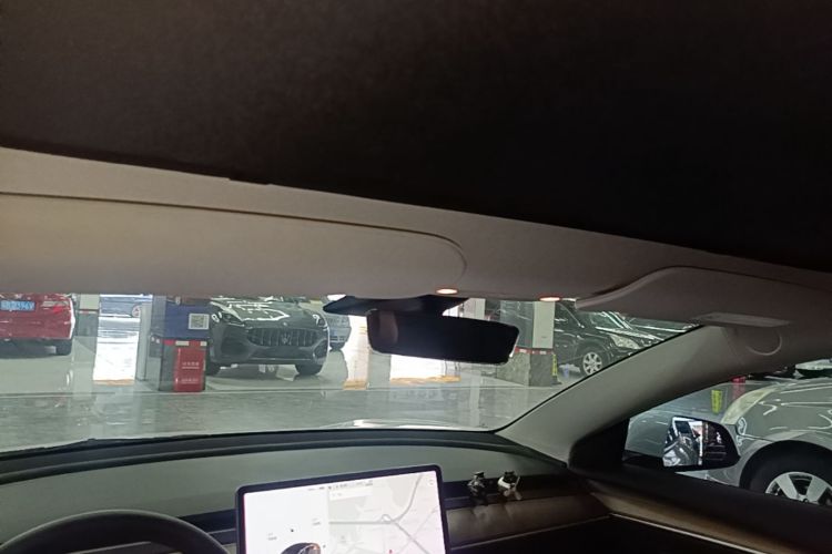 Tesla Model 3 2021 immagine di auto #18