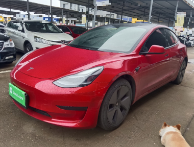 Tesla Model 3 2021 Tesla Model 3 2021 car image