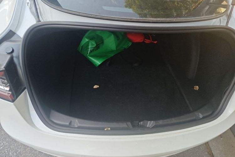 Tesla Model 3 2020 #18 Tesla Model 3 2020 car image #18