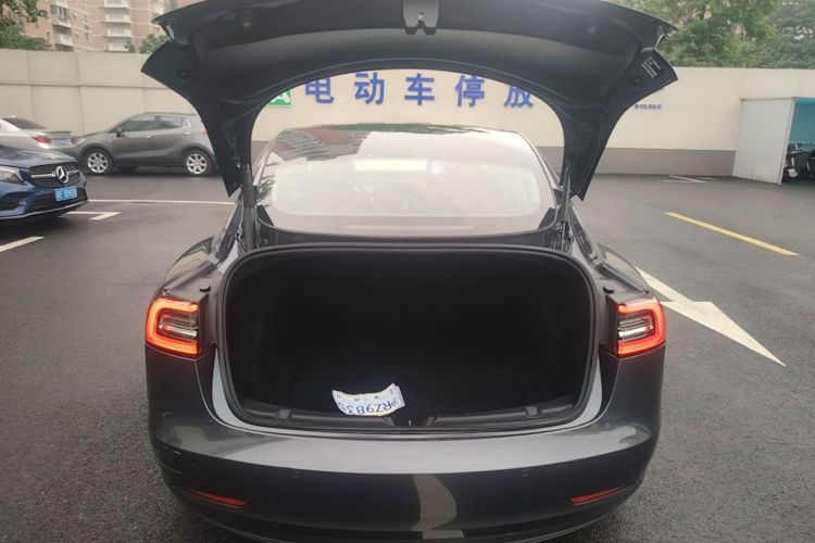 Tesla Model 3 2021 #19 Tesla Model 3 2021 car image #19