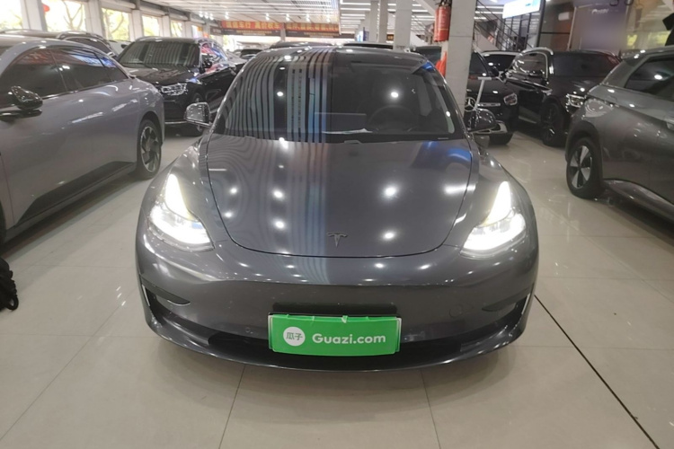 Tesla Model 3 2021 #3 Tesla Model 3 2021 car image #3