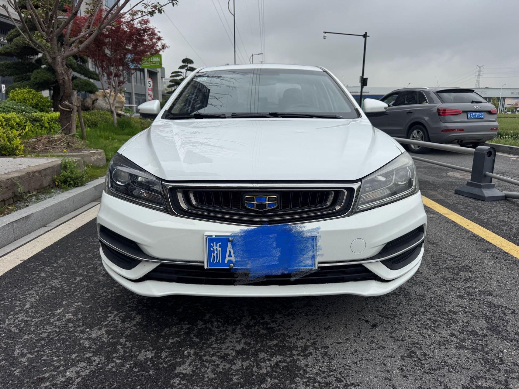 GEELY Emgrand 2019 imagen de coche #2