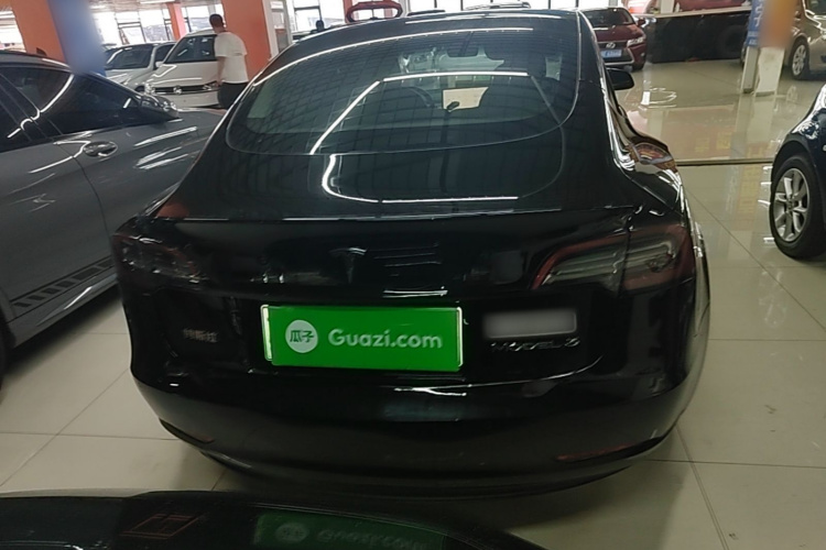 Tesla Model 3 2023 #6 Tesla Model 3 2023 car image #6