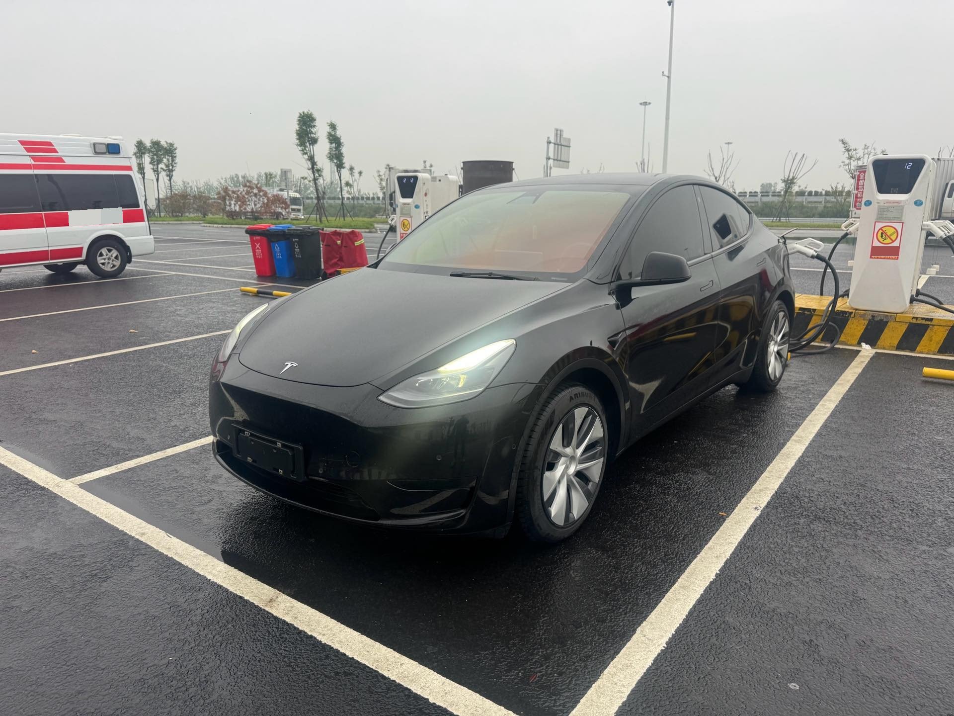 Tesla Model Y 2021 Tesla Model Y 2021 car image