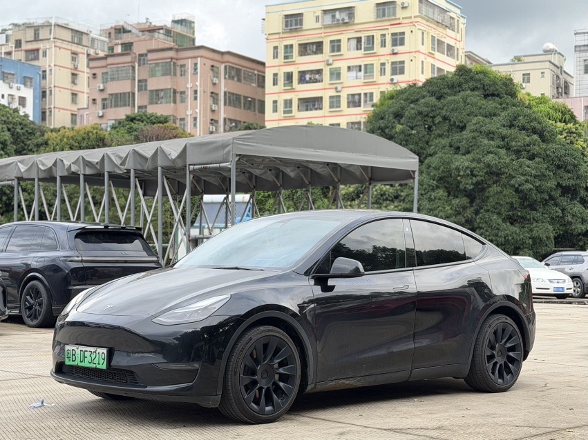 Tesla Model Y 2021 Tesla Model Y 2021 car image