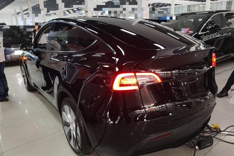 Tesla Model Y 2023 #5 Tesla Model Y 2023 car image #5