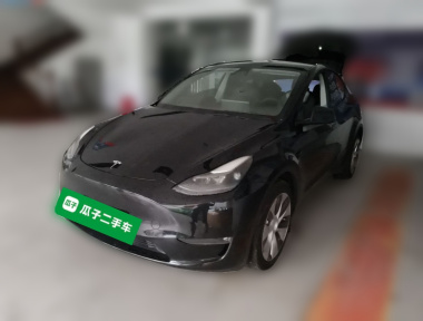 Tesla Model Y 2021 Tesla Model Y 2021 car image
