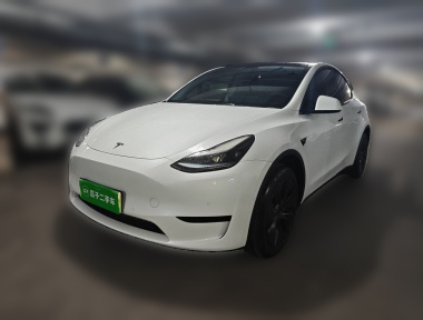 Tesla Model Y 2023 Tesla Model Y 2023 car image