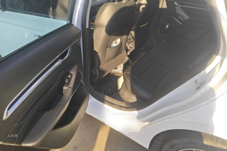 GEELY Emgrand 2021 immagine di auto #19