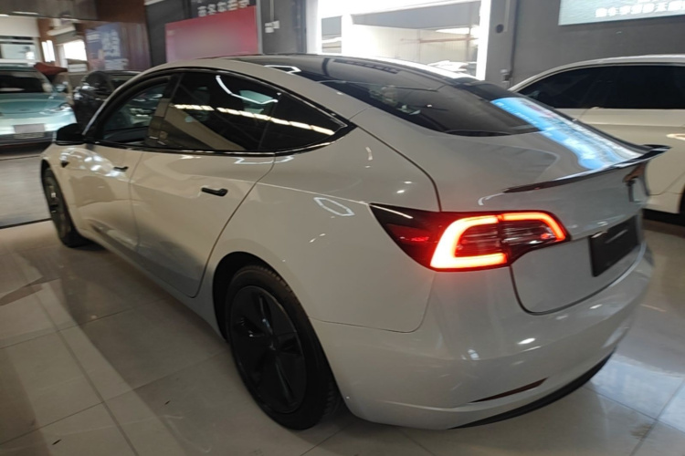 Tesla Model 3 2020 #5 Tesla Model 3 2020 car image #5