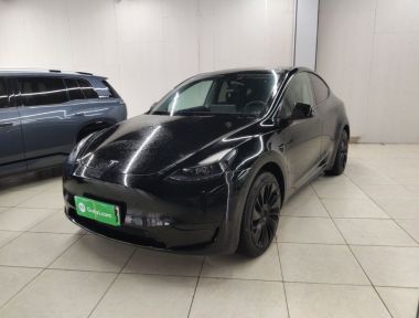 Tesla Model Y 2023 car image 