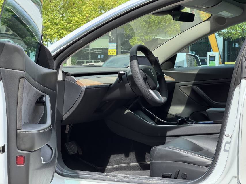 Tesla Model 3 2020 car image #9