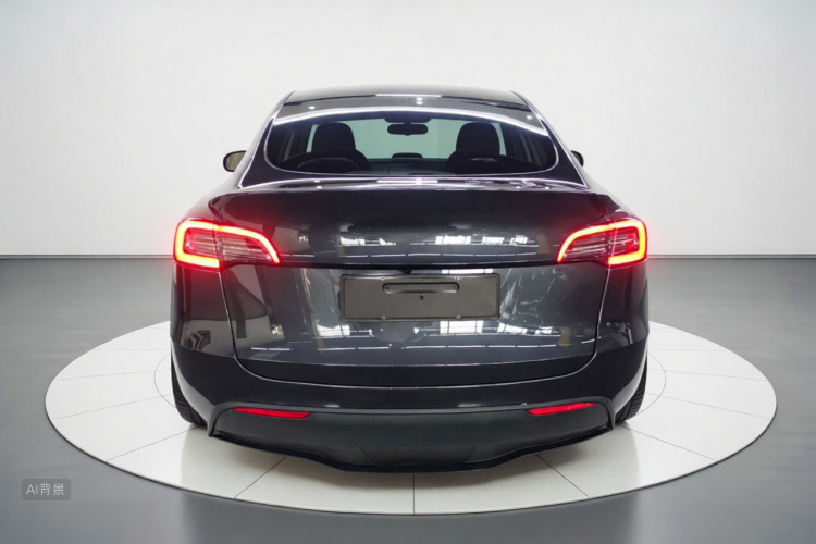 Tesla Model Y 2024 #6 Tesla Model Y 2024 car image #6