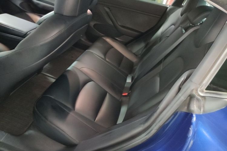 Tesla Model 3 2022 #17 Tesla Model 3 2022 car image #17