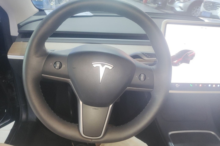Tesla Model 3 2022 car image #15