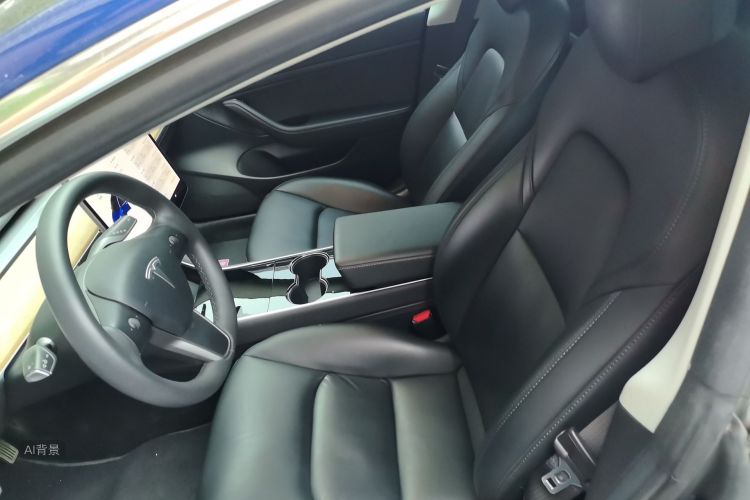 Tesla Model 3 2020 car image #17