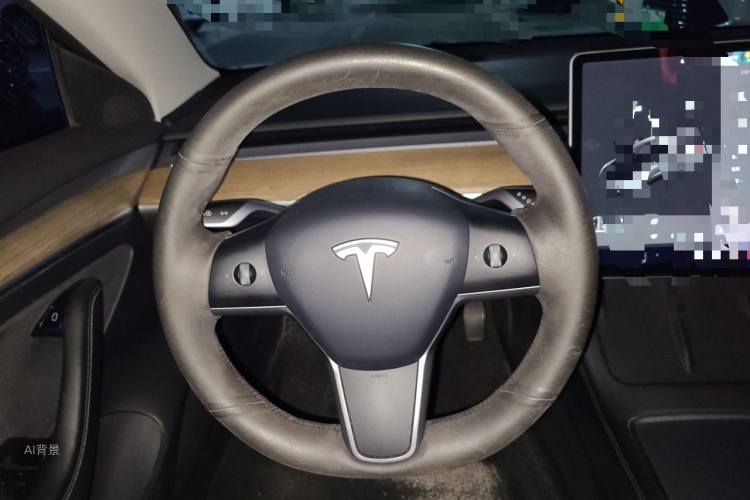 Tesla Model 3 2021 car image #12