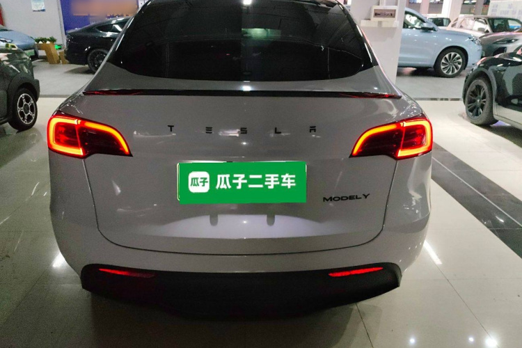 Tesla Model Y 2022 car image #6