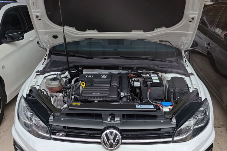 Volkswagen Golf 2019 #20 Volkswagen Golf 2019 car image #20