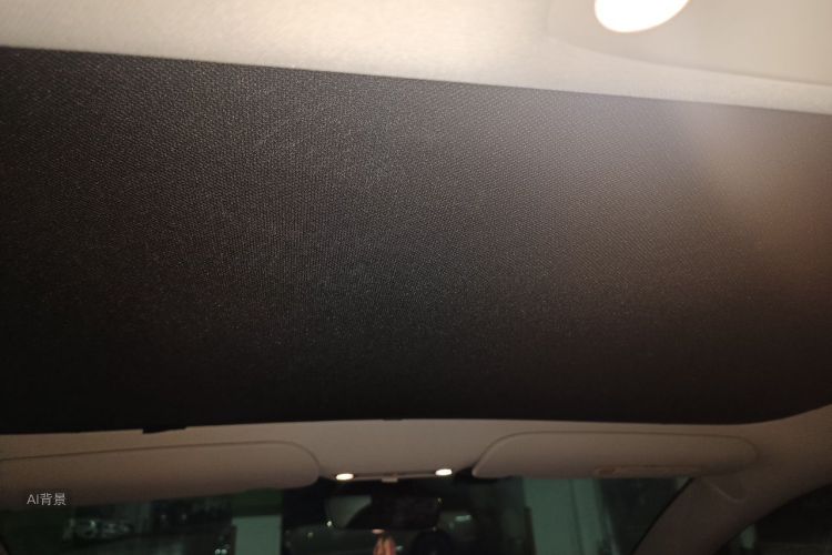 Tesla Model 3 2021 car image #20
