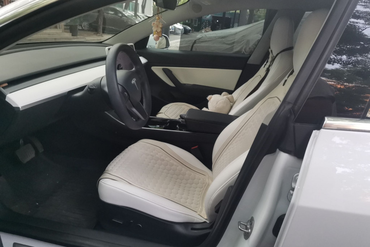 Tesla Model 3 2020 car image #19