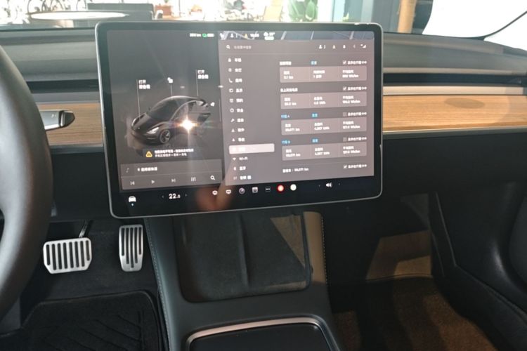 Tesla Model 3 2023 car image #13