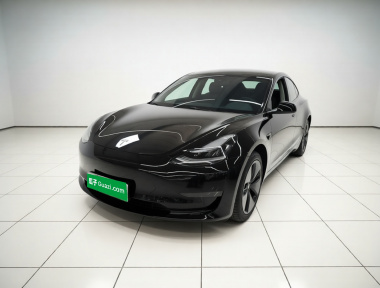 Tesla Model 3 2020 car image 