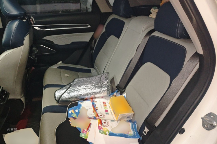 GEELY Emgrand 2021 car image #19