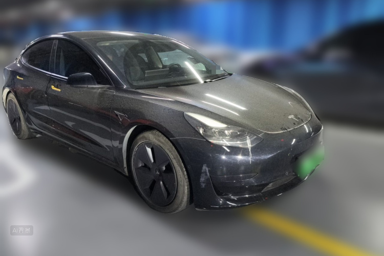 Tesla Model 3 2021 car image #4