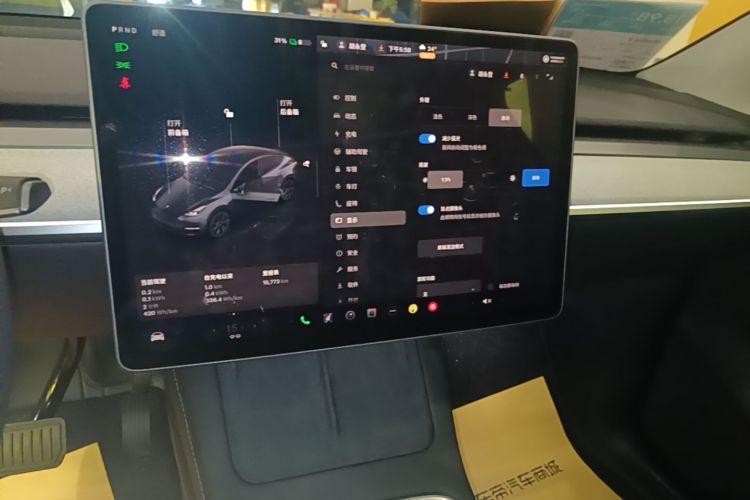 Tesla Model Y 2025 imagem de carro #13