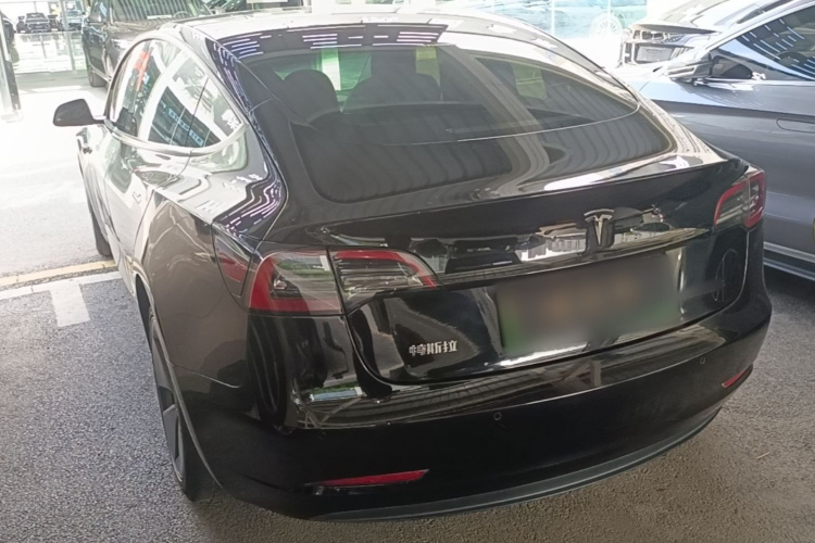 Tesla Model 3 2021 car image #7
